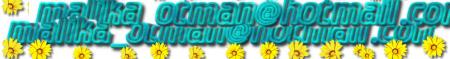 moi msn